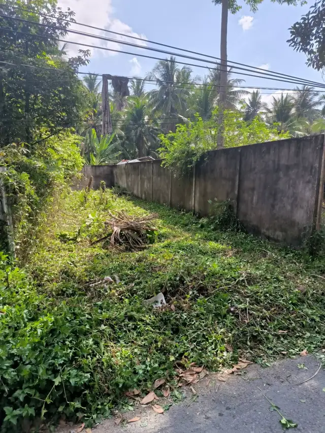 Bán đất đường Long Định  Huyện Chợ Gạo, Tiền Giang – giá 660 triệu