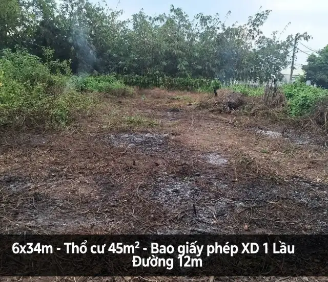 Bán đất Ấp Mũi Lớn 2 Huyện Củ Chi, TP.HCM – giá 1.3 tỷ Bán đất Ấp Mũi Lớn 2 Huyện Củ Chi, TP.HCM – giá 1.3 tỷ