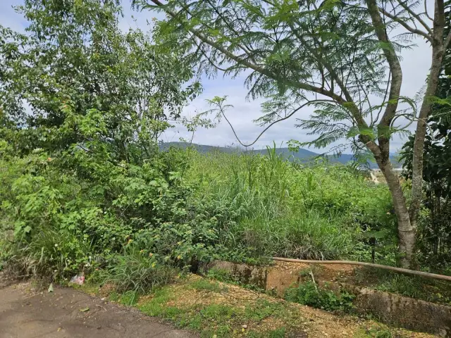 Bán đất KQH Trường Xuân 2 Thành phố Đà Lạt, Lâm Đồng – giá 7 tỷ Bán đất KQH Trường Xuân 2 Thành phố Đà Lạt, Lâm Đồng – giá 7 tỷ