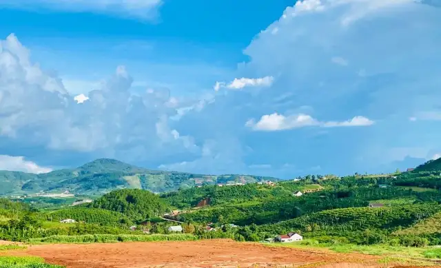 Bán đất đường DH93 Huyện Lâm Hà, Lâm Đồng – giá 370 triệu Bán đất đường DH93 Huyện Lâm Hà, Lâm Đồng – giá 370 triệu