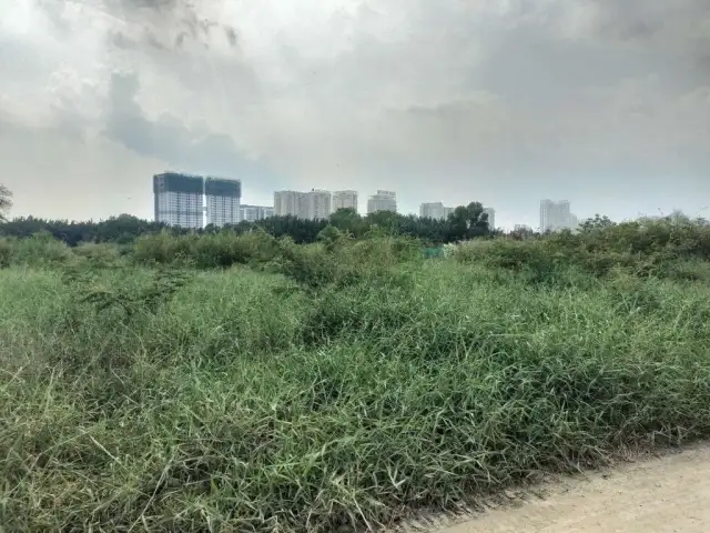 Cho thuê đất Đường Phạm Hữu Lầu Huyện Nhà Bè, TP.HCM – giá 40 triệu