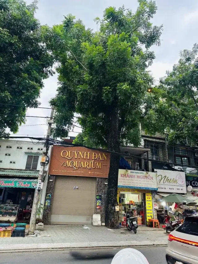 Cho thuê nhà mặt tiền Lê Văn Thọ Gò Vấp, TP.HCM – 4 phòng ngủ, giá 25 triệu Cho thuê nhà mặt tiền Lê Văn Thọ Gò Vấp, TP.HCM – 4 phòng ngủ, giá 25 triệu