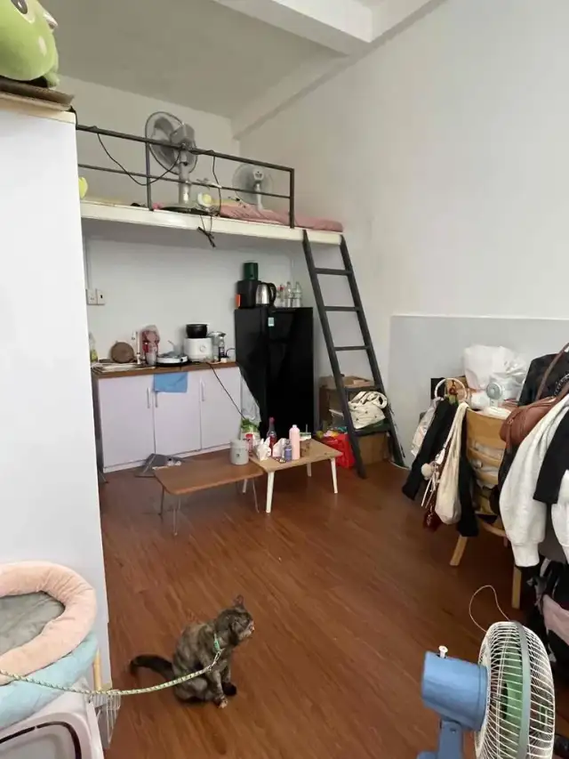 Cho thuê phòng trọ Dương Bá Trạc Quận 8, TP.HCM – 4 phòng ngủ, giá 1.5 triệu