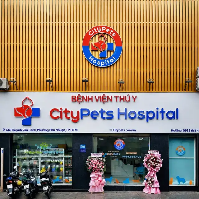 Bán nhà mặt tiền Huỳnh Văn Bánh Quận Phú Nhuận, TP.HCM – giá 30 tỷ Bán nhà mặt tiền Huỳnh Văn Bánh Quận Phú Nhuận, TP.HCM – giá 30 tỷ