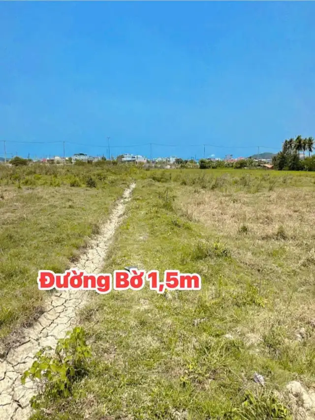 Bán đất hẻm đường số 12 Huyện Diên Khánh, Khánh Hòa – giá 560 triệu