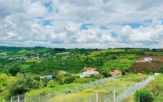 Bán đất ấp 5, nhánh đường QL20 Huyện Định Quán, Đồng Nai – giá 595 triệu