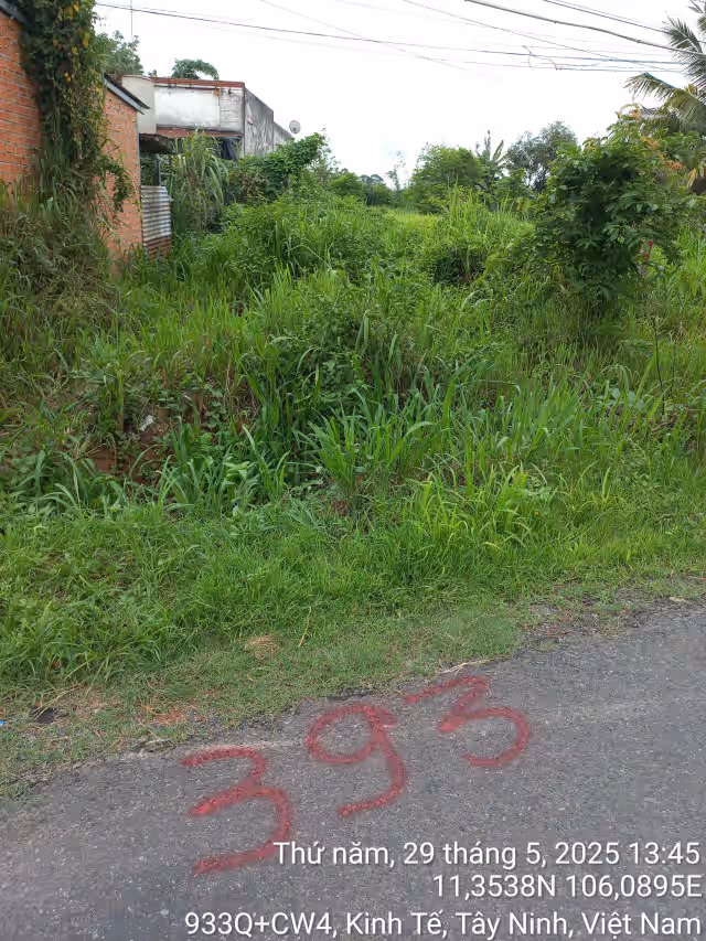 Bán đất Thành phố Tây Ninh, Tây Ninh – giá 985 triệu