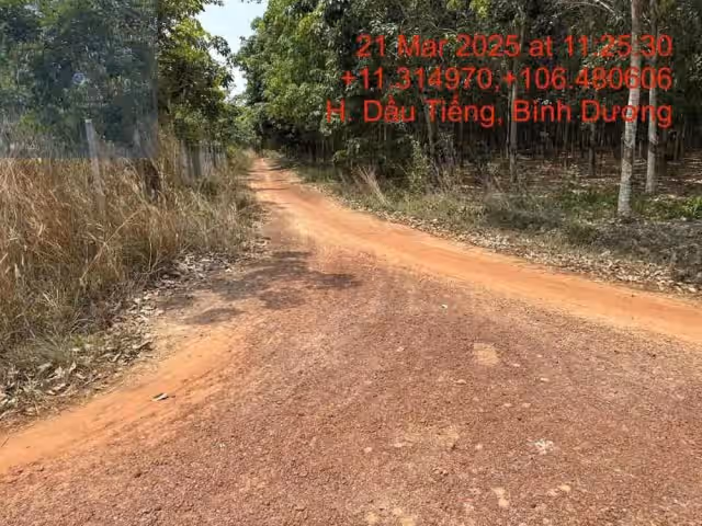 Bán đất Huyện Dầu Tiếng, Bình Dương – giá 866 triệu