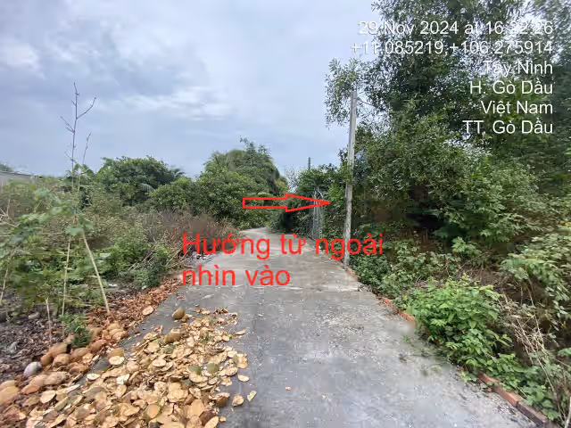 Bán đất Khu phố Thanh Bình A Huyện Gò Dầu, Tây Ninh – giá 1 tỷ Bán đất Khu phố Thanh Bình A Huyện Gò Dầu, Tây Ninh – giá 1 tỷ