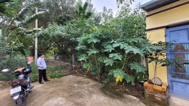Bán đất Đường Quy Đông Thành phố Nha Trang, Khánh Hòa – giá 4.7 tỷ Bán đất Đường Quy Đông Thành phố Nha Trang, Khánh Hòa – giá 4.7 tỷ