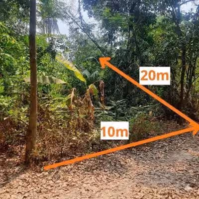 Bán đất Huyện Gò Dầu, Tây Ninh – giá 232 triệu Bán đất Huyện Gò Dầu, Tây Ninh – giá 232 triệu