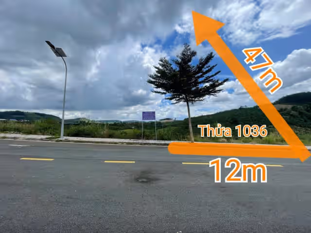 Bán đất Huyện Lâm Hà, Lâm Đồng – giá 904.5 triệu Bán đất Huyện Lâm Hà, Lâm Đồng – giá 904.5 triệu