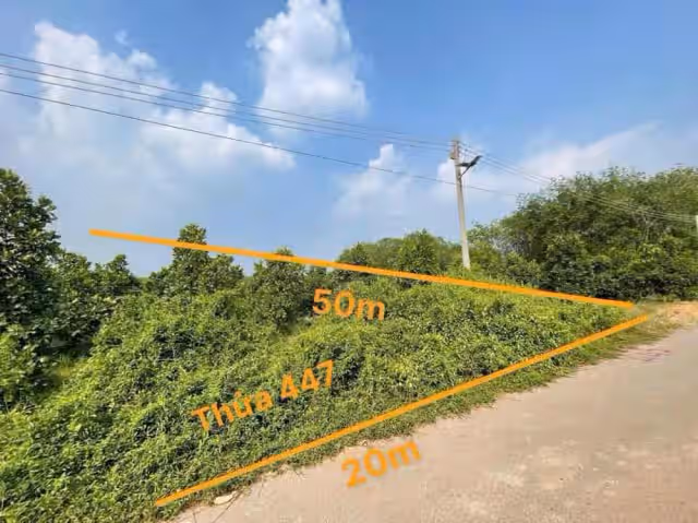 Bán đất Huyện Phú Giáo, Bình Dương – giá 1.3 tỷ Bán đất Huyện Phú Giáo, Bình Dương – giá 1.3 tỷ