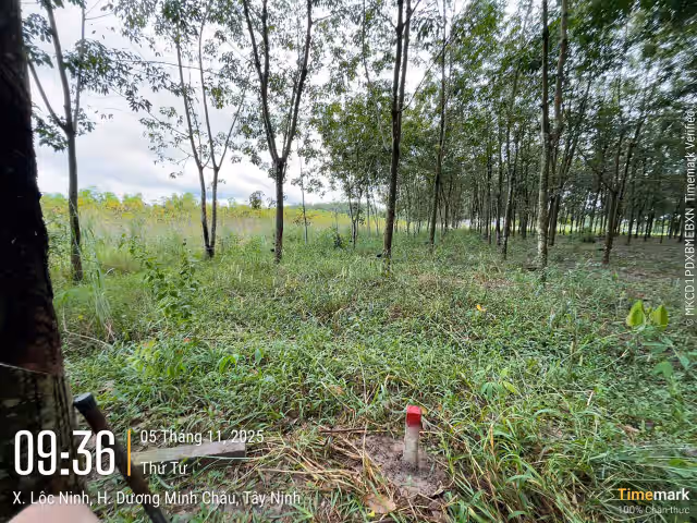 Bán đất Huyện Dương Minh Châu, Tây Ninh – giá 405.8 triệu