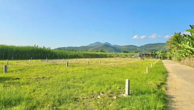 Bán đất Thành Hồ, thôn Phước Tuy Huyện Diên Khánh, Khánh Hòa – giá 650 triệu