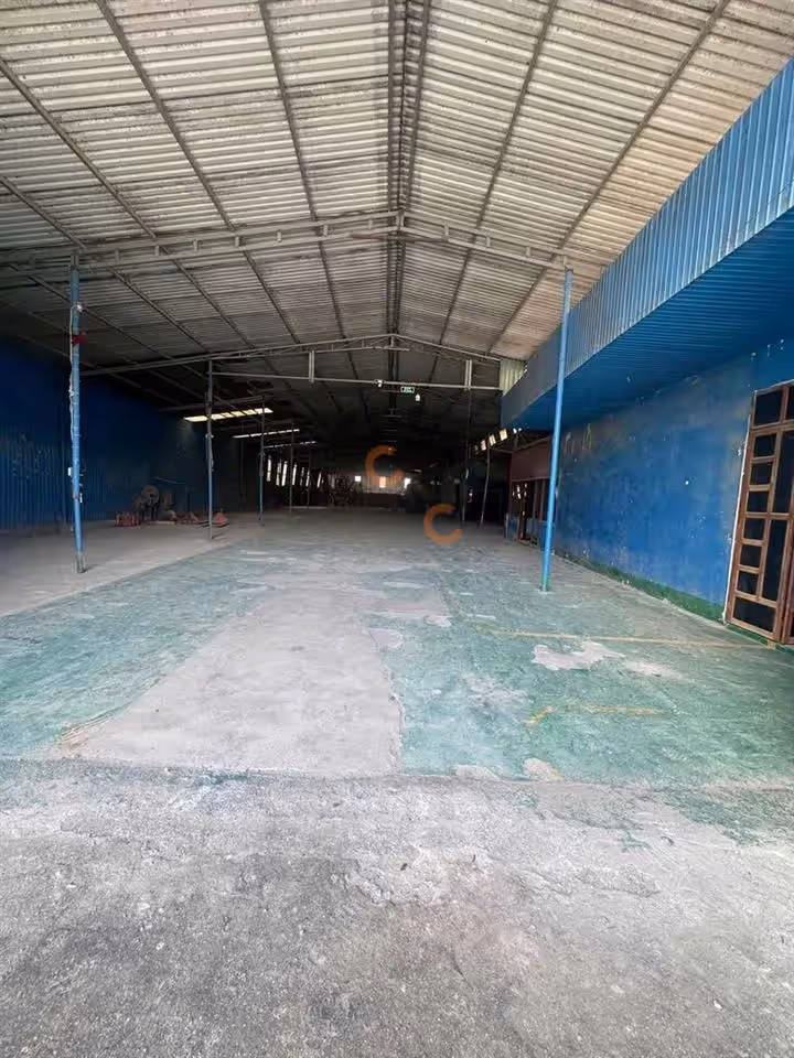 Cho thuê kho, nhà xưởng Đường N4 Thành phố Thuận An, TP.HCM – giá 70 triệu - ảnh 3