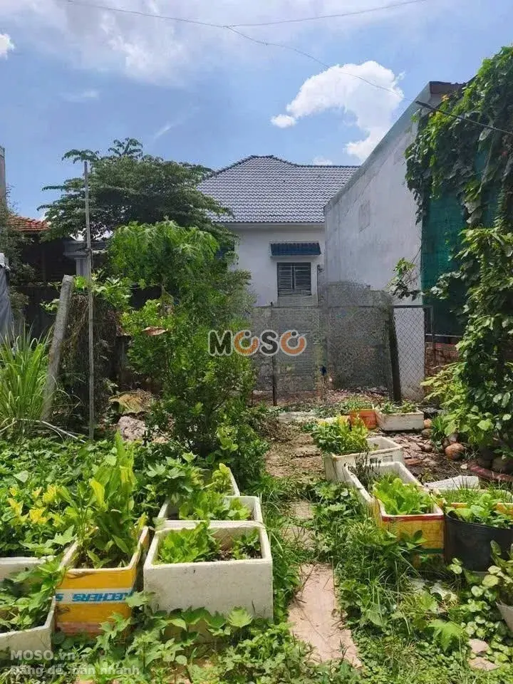Bán đất Bình Nhâm 36 Thành phố Thuận An, Bình Dương – giá 2.5 tỷ - ảnh 1