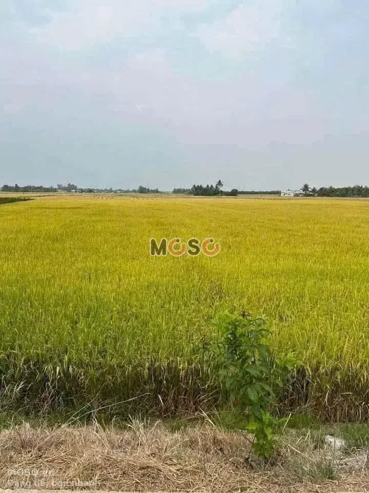 Bán đất hẻm đường Nguyễn Văn Nhâm Thành phố Tân An, Long An – giá 1 tỷ - ảnh 1