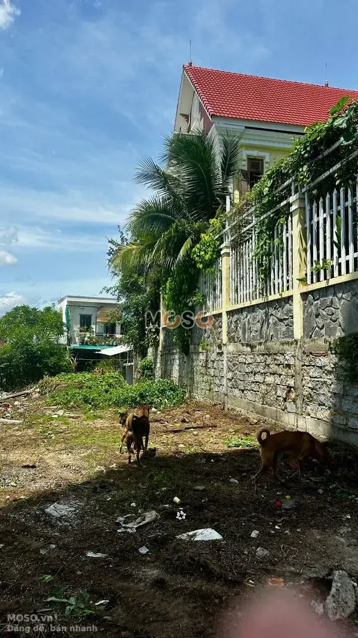 Bán đất Hẻm Nguyễn Chích Thành phố Nha Trang, Khánh Hòa – giá 3.6 tỷ - ảnh 2