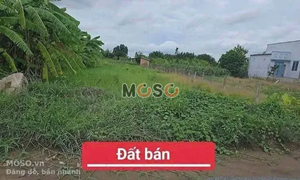 Bán đất đường 30 tháng 4, Ấp 5 Huyện Châu Thành, Long An – giá 2 tỷ - ảnh 1