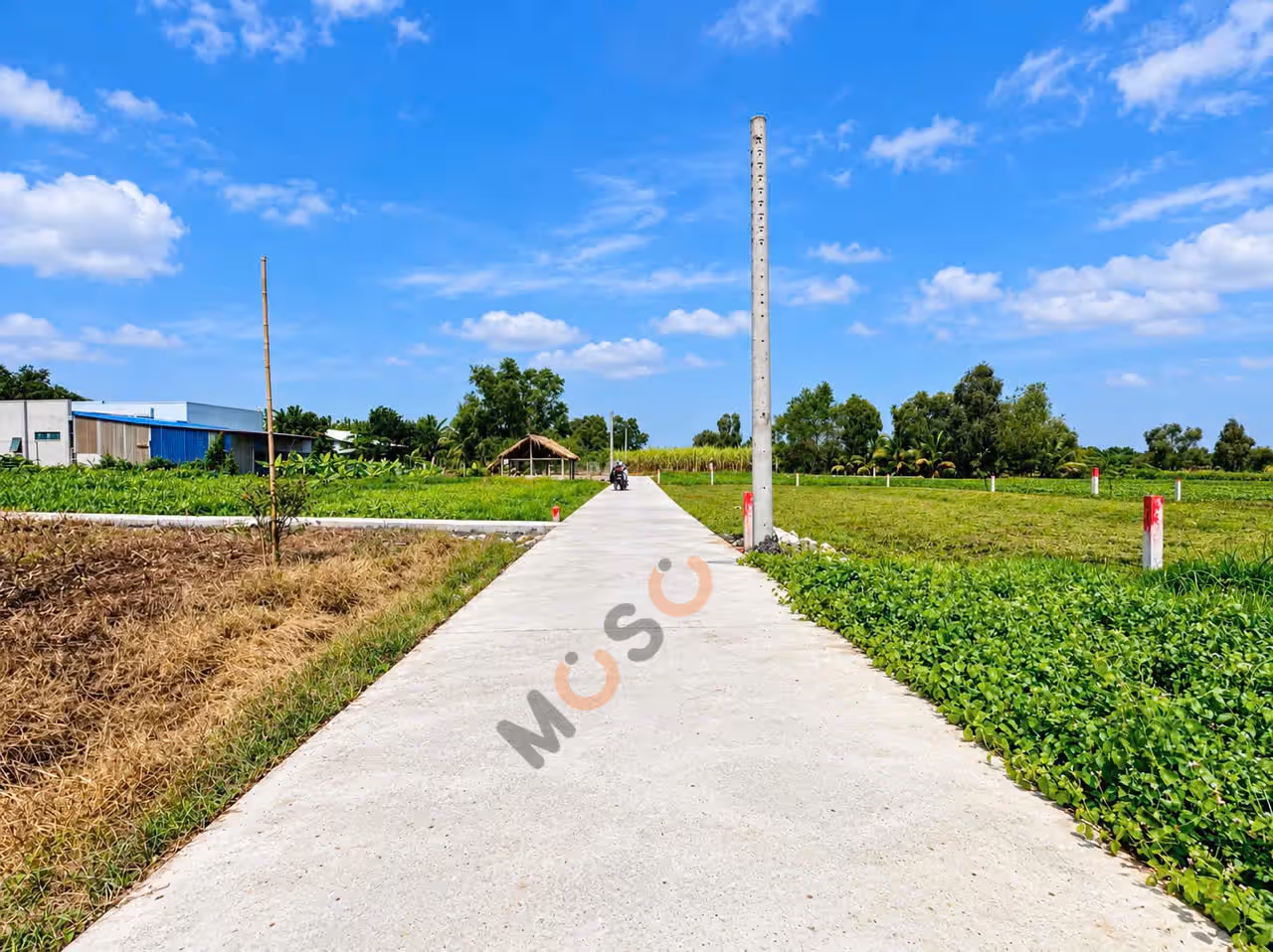 Bán đất đường Trường Bình - Mỹ Lộc  Huyện Cần Giuộc, Long An – giá 750 triệu - ảnh 2