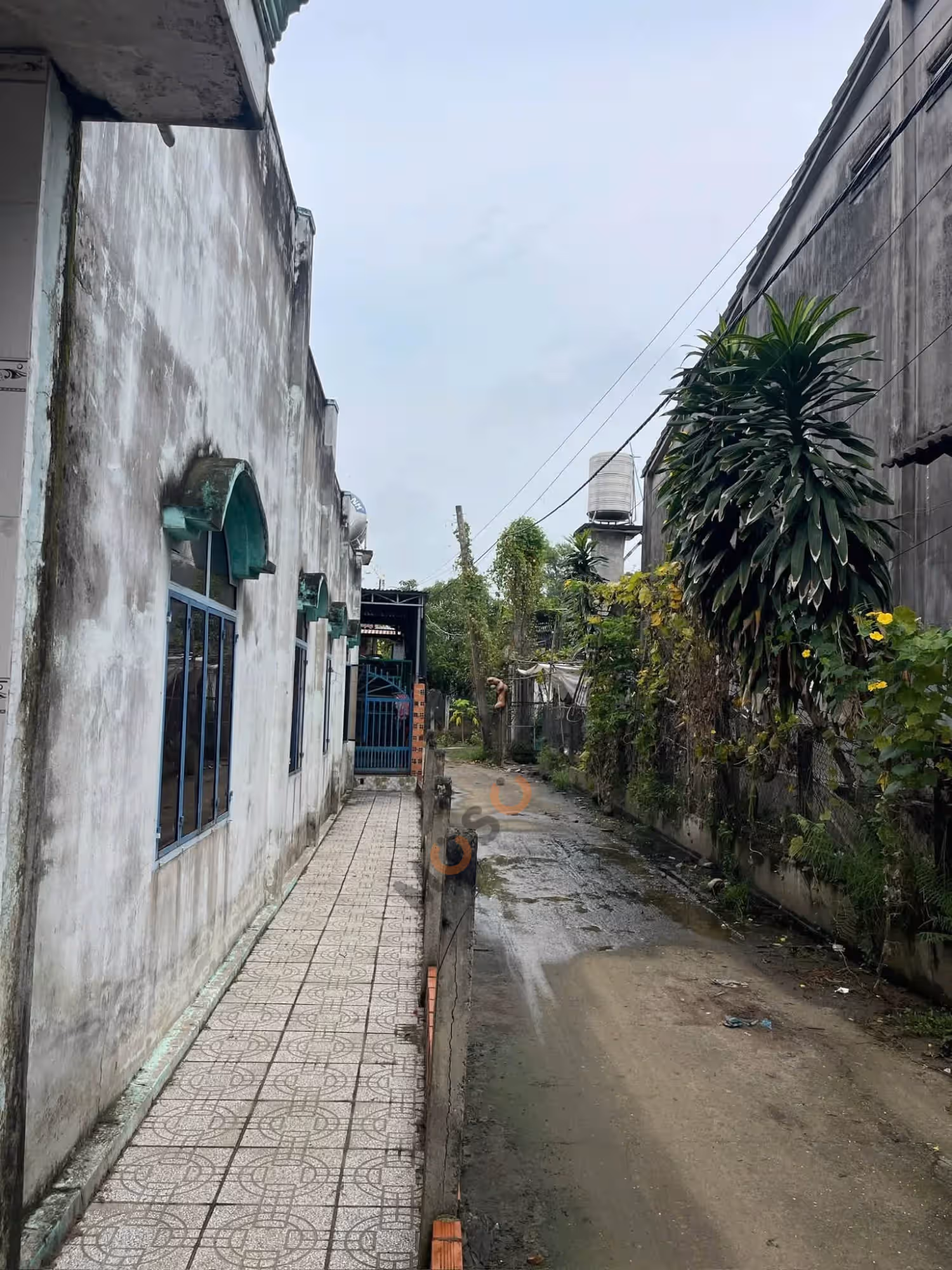 Bán đất đường ĐT781 Huyện Châu Thành, Tây Ninh – giá 3.8 tỷ - ảnh 8
