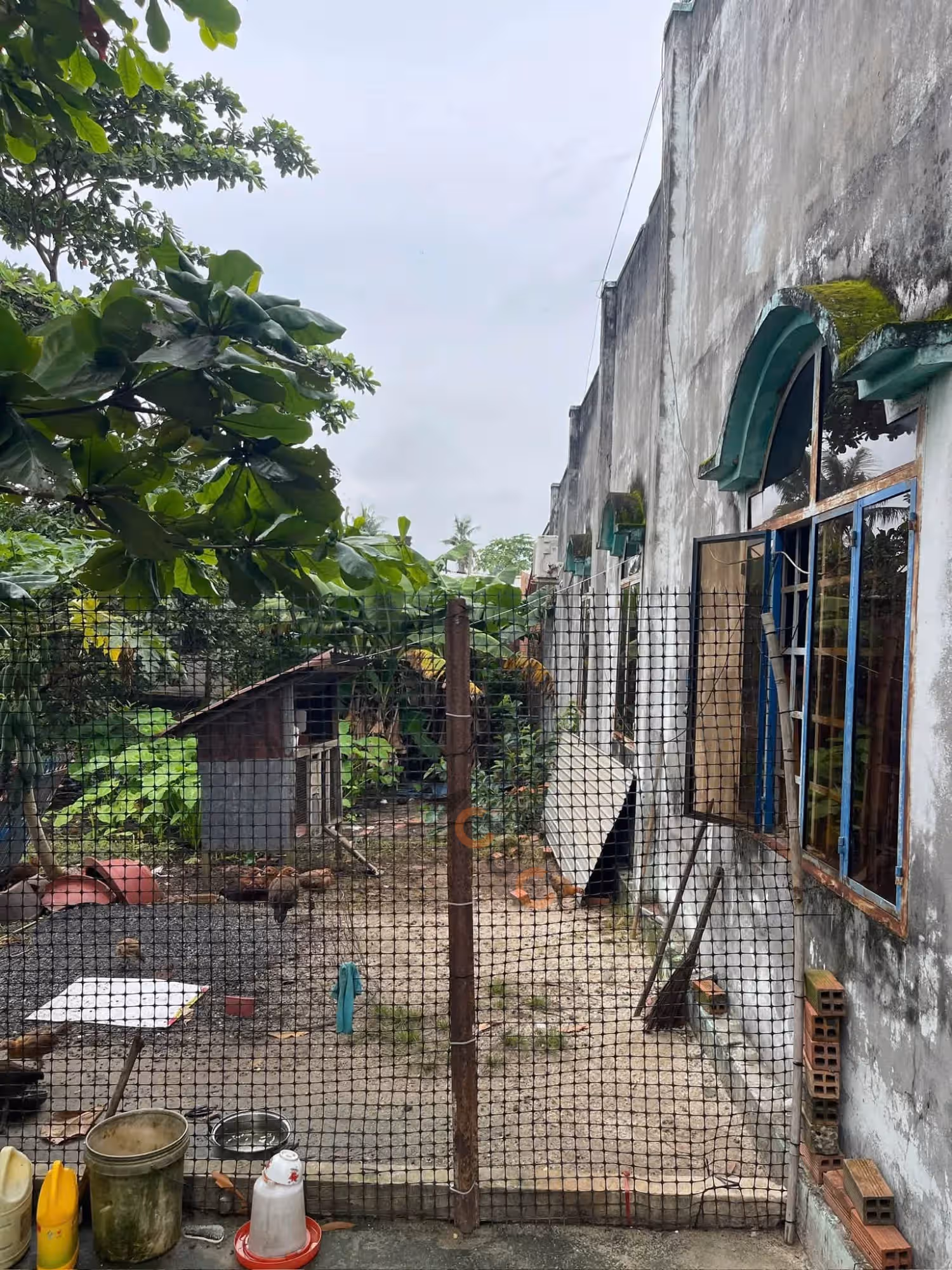 Bán đất đường ĐT781 Huyện Châu Thành, Tây Ninh – giá 3.8 tỷ - ảnh 2