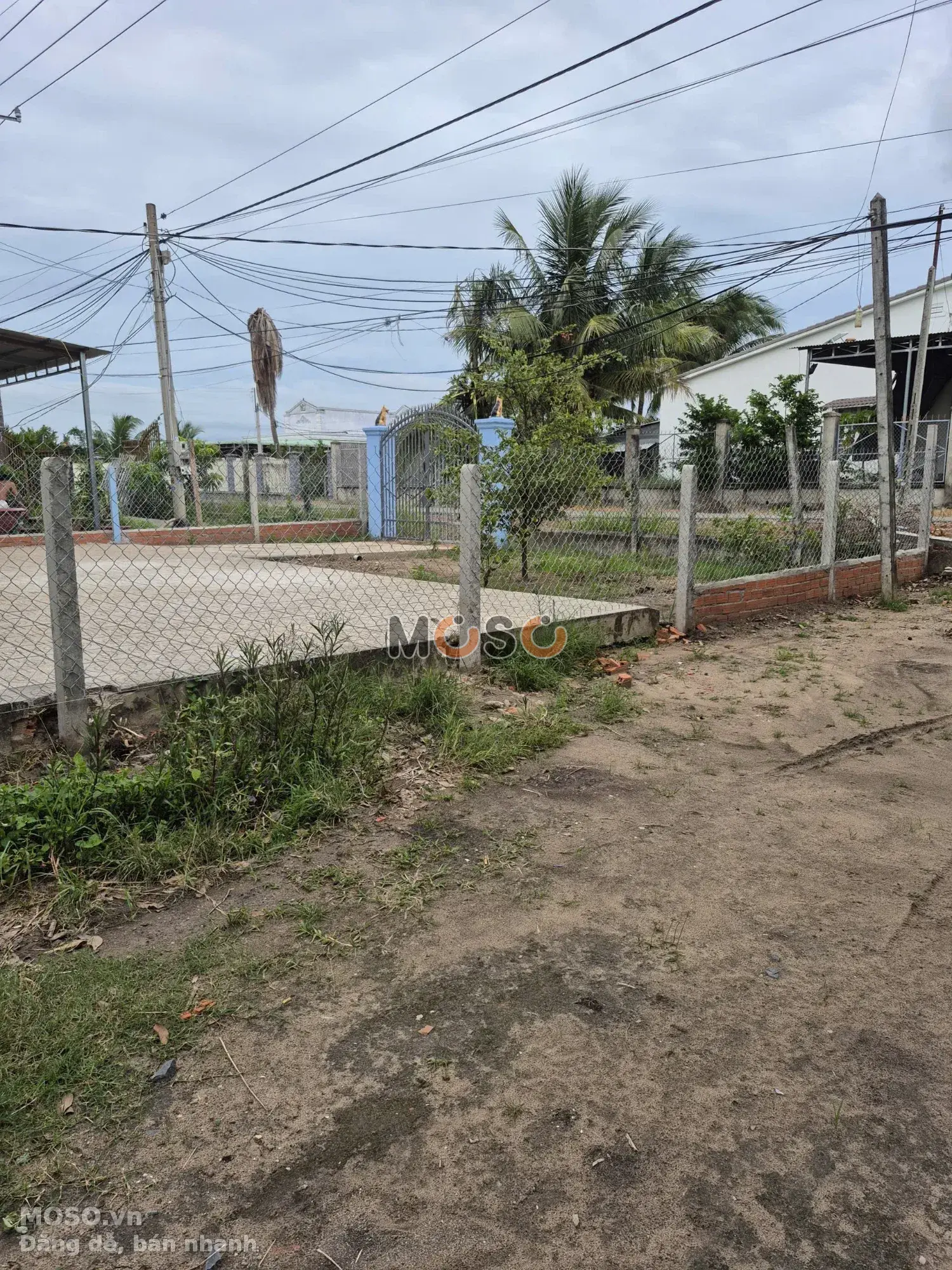 Bán đất hẻm đường DT784 Huyện Tân Châu, Tây Ninh – giá 939 triệu - ảnh 5