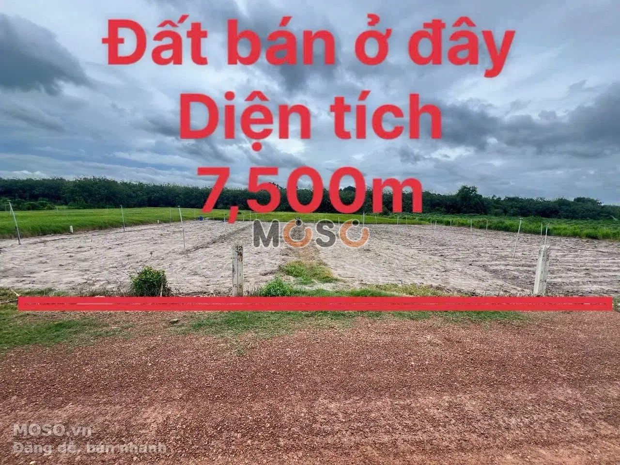 Bán đất đường Suối Dầm 4 Huyện Tân Châu, Tây Ninh – giá 990 triệu - ảnh 2
