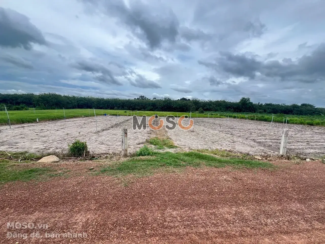 Bán đất đường Suối Dầm 4 Huyện Tân Châu, Tây Ninh – giá 990 triệu - ảnh 4