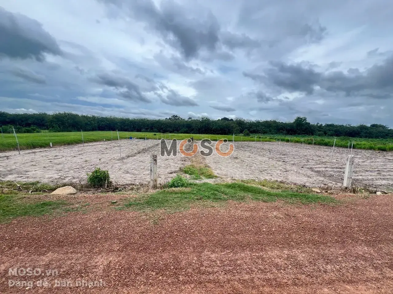 Bán đất đường Suối Dầm 4 Huyện Tân Châu, Tây Ninh – giá 990 triệu - ảnh 5