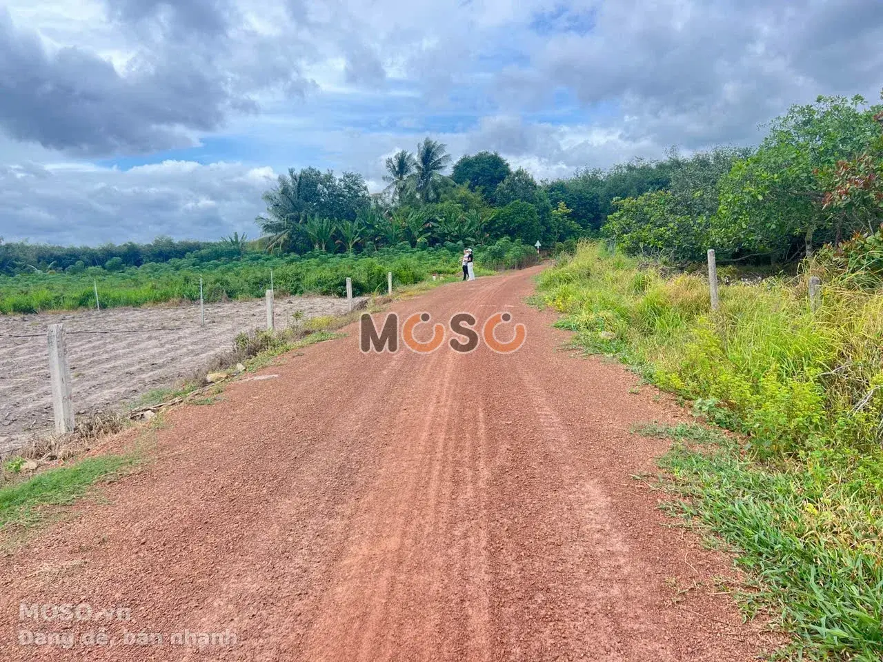 Bán đất đường Suối Dầm 4 Huyện Tân Châu, Tây Ninh – giá 990 triệu - ảnh 6