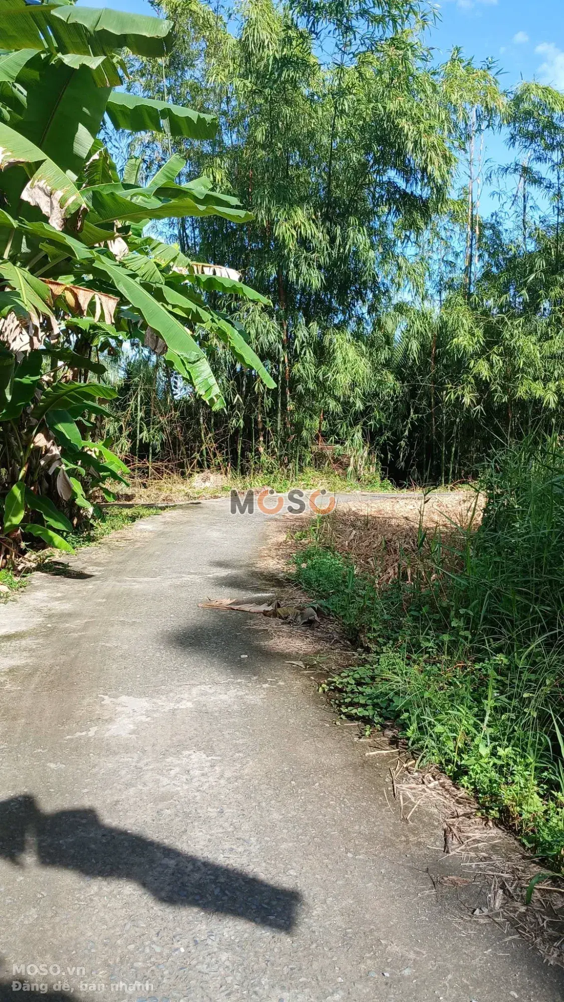 Bán đất Ấp 4 Thành phố Vị Thanh, Hậu Giang – giá 350 triệu - ảnh 3