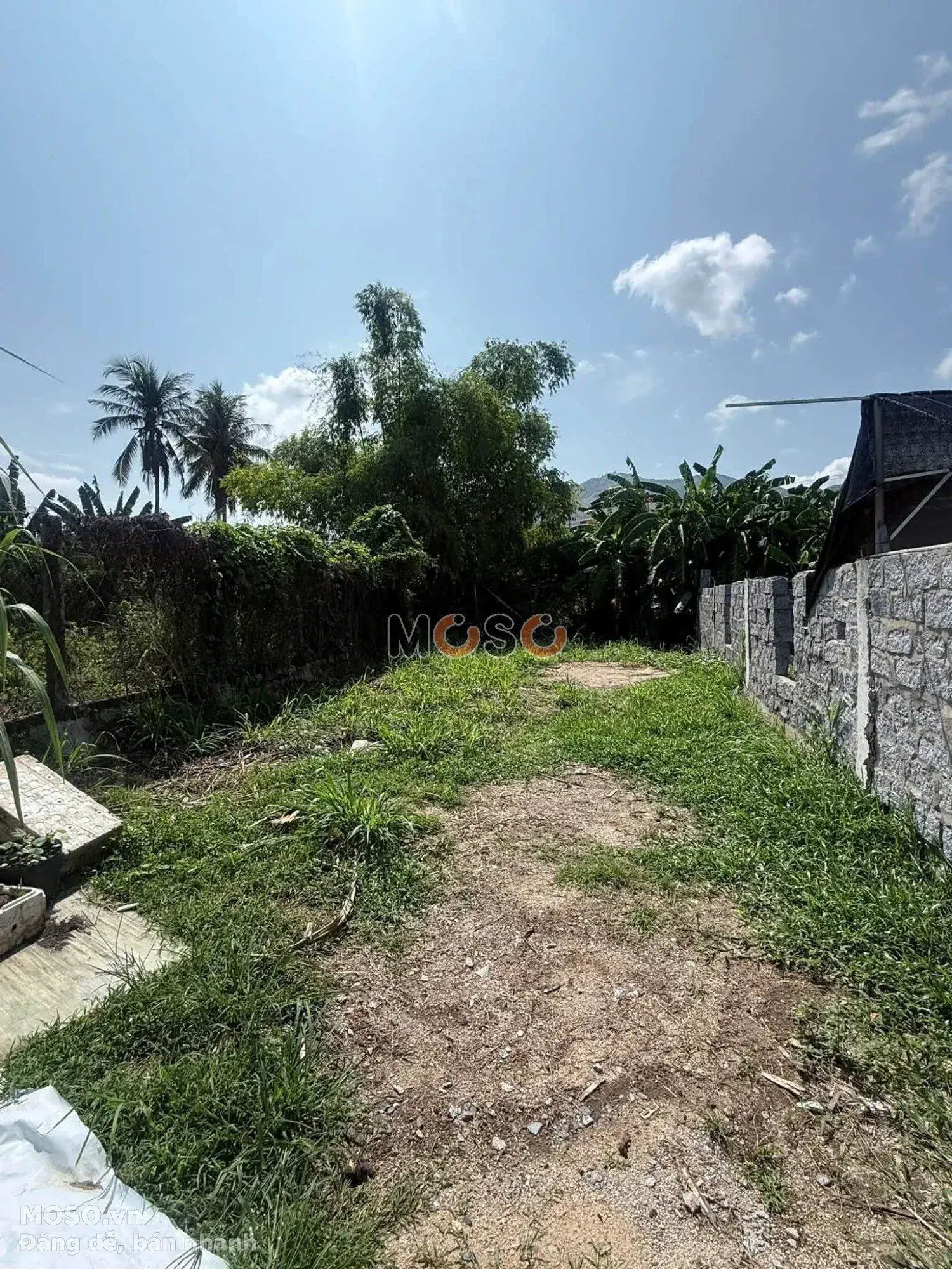 Bán đất Thôn Đông Dinh Huyện Diên Khánh, Khánh Hòa – giá 1.4 tỷ - ảnh 1