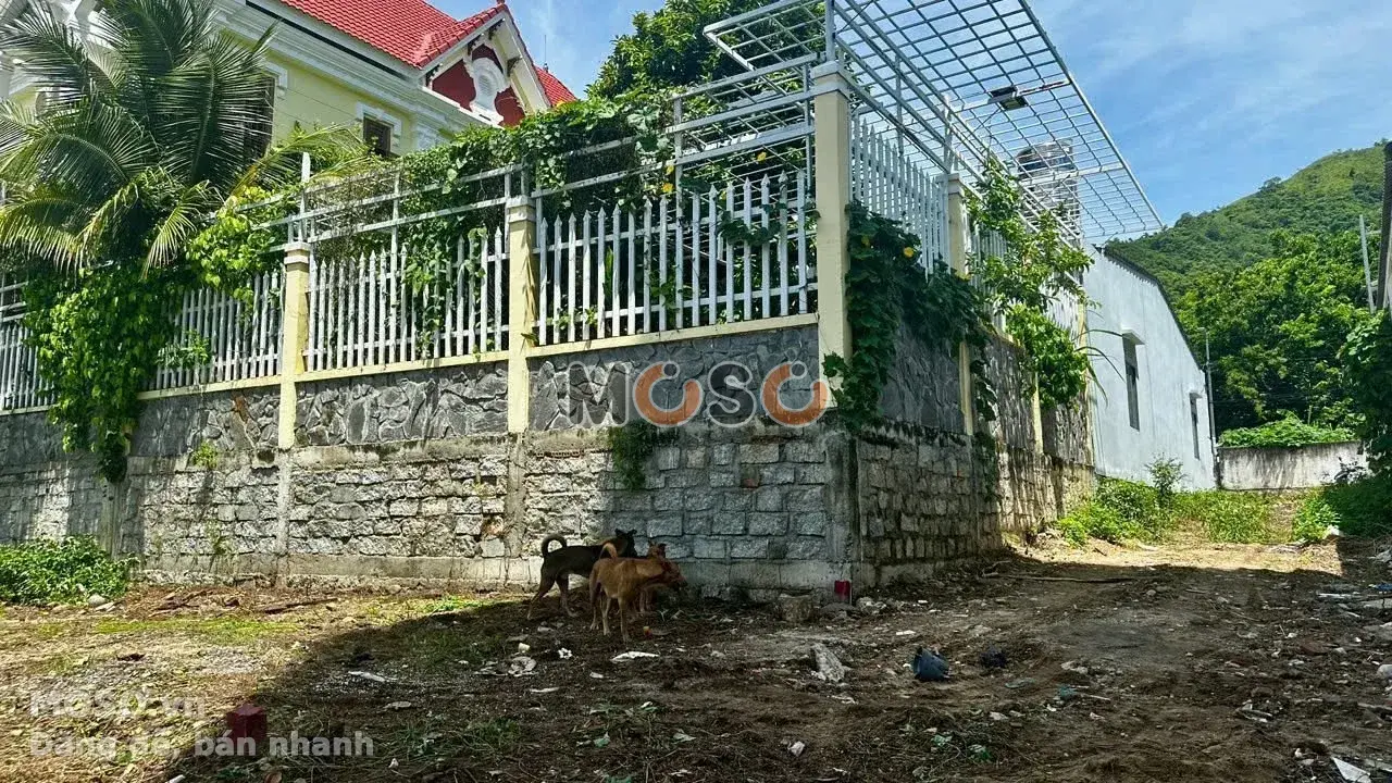 Bán đất Hẻm Nguyễn Chích Thành phố Nha Trang, Khánh Hòa – giá 3.6 tỷ - ảnh 3